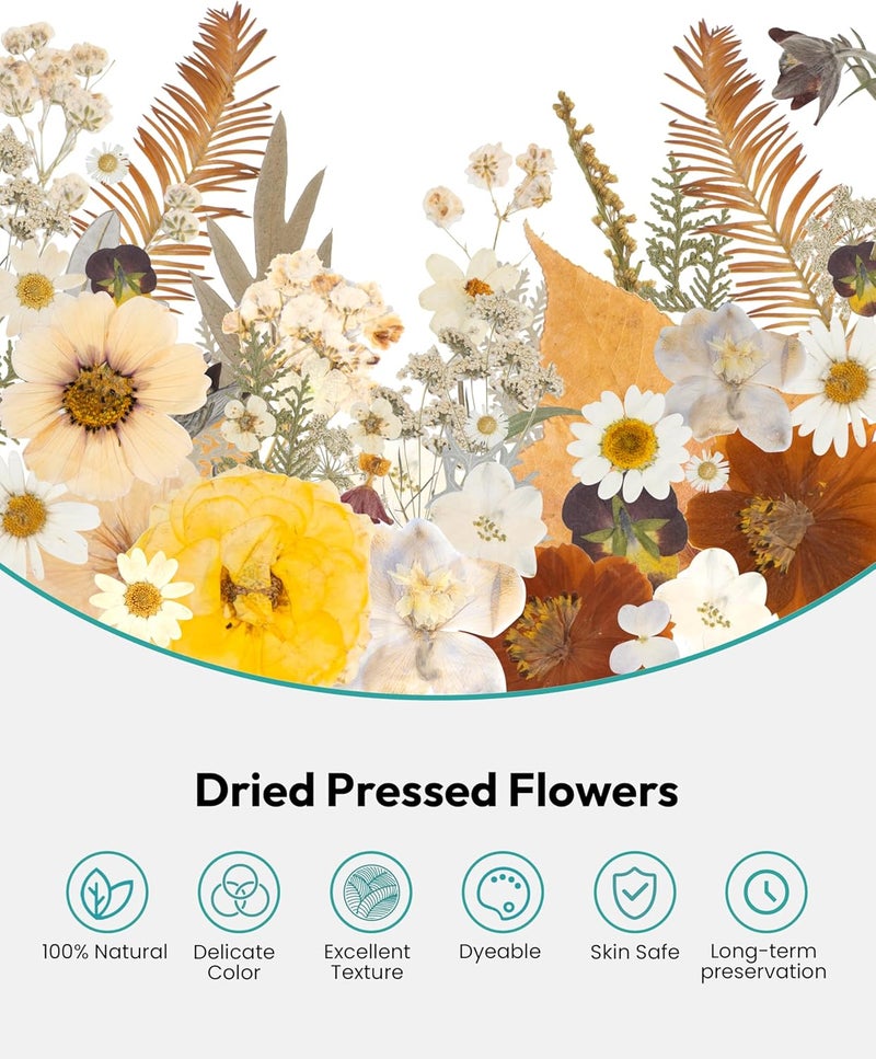 Resiners Dried Flowers, 100Pcs Pressed Flowers for Craft Real Natural Dried Flowers Dry Leaves Kit for DIY Making Crafts Resin Soap Candle Scrapbook Supplies Jewelry Making - Image 4